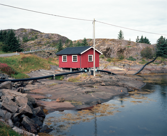 05_ektar_009